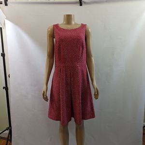 NWT THE LIMITED 🛍️ Beautiful fit and flare dress